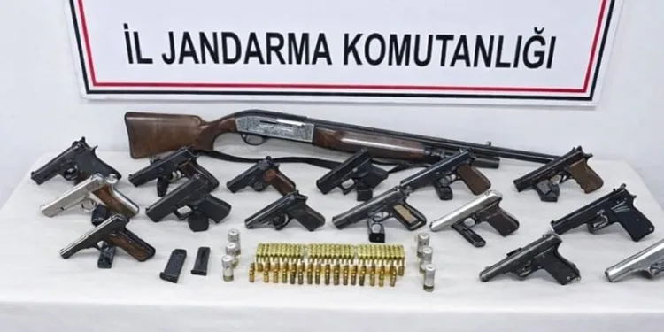 Ordu’da yasadışı silah operasyonu