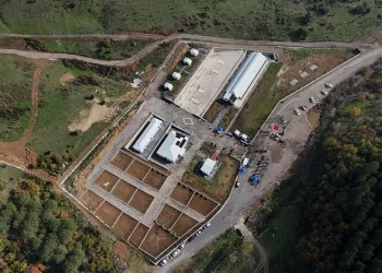 Orhangazi Belediyesi’nden Sokak Hayvanları İçin Örnek Başarı