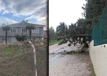 Mudanya’da lodos ve yangın paniği