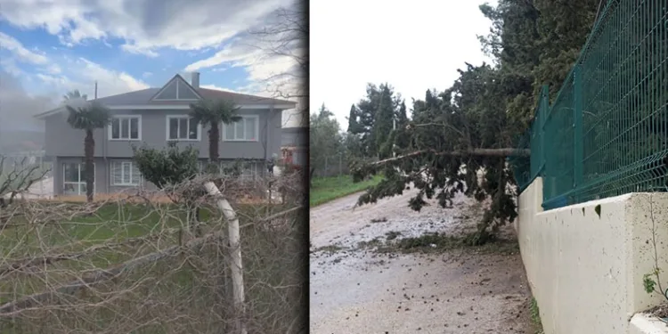 Mudanya’da lodos ve yangın paniği