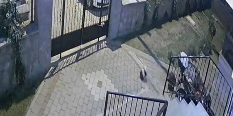 Tuğba Yavaş olayında otopsi bilmecesi
