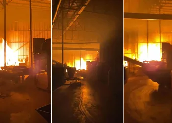 Bursa’da bir palet fabrikasında daha yangın