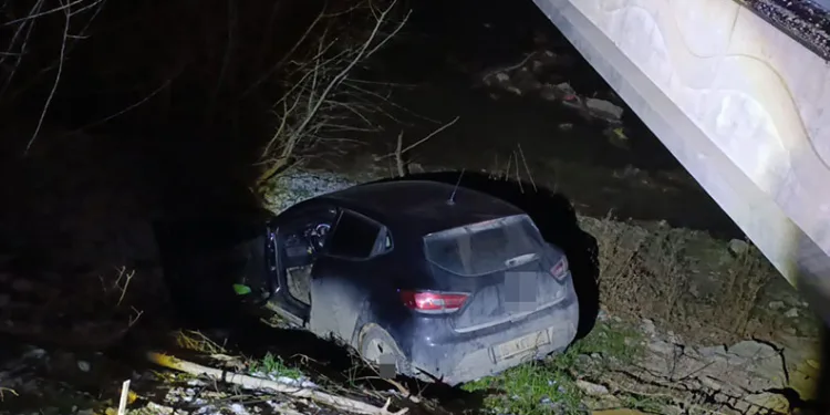 Bursa’da otomobil dereye uçtu, sürücü yaralandı