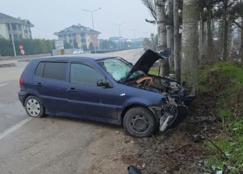 Direksiyon hakimiyetini kaybeden sürücü ağaca çarptı