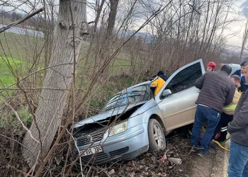 İnegöl’de kontrolden çıkan otomobil ağaca çarptı: 1 yaralı