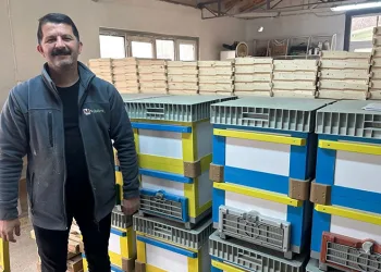 Futbolda rekabet arıcılara yansıdı; renkli kovanlar revaçta