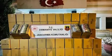 Osmaniye’de tırda 1 milyon liralık kaçak makaron ele geçirildi