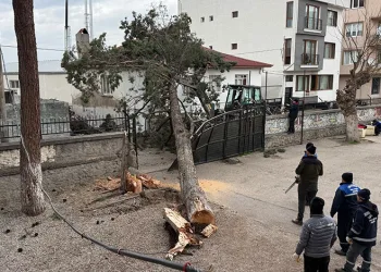 İznik’te okulların tatil olması faciayı önledi