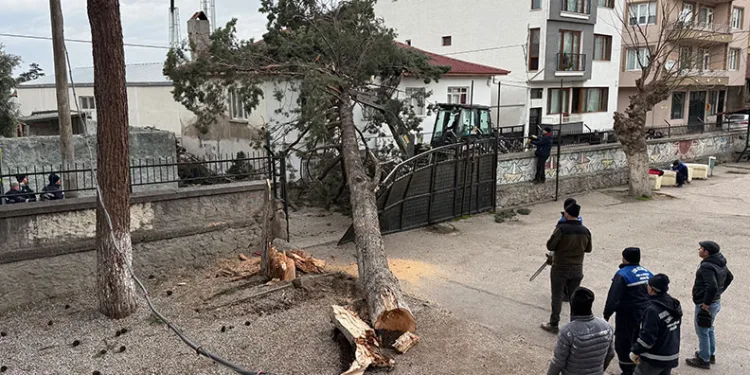 İznik’te okulların tatil olması faciayı önledi