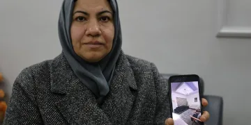 Sazan sarmalı bir ailenin hayallerini yıktı