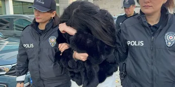 Bekçi ve polislere hakaret eden kadın tutuklandı