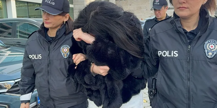 Bekçi ve polislere hakaret eden kadın tutuklandı