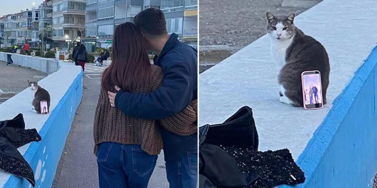 Bursa’da ilginç fotoğraf çözümü: Tripod yerine kedi kullandılar