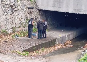 Bursa’da dere kenarında erkek cesedi bulundu