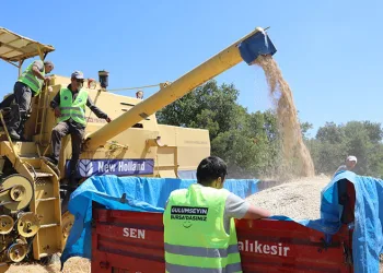 Bursa Büyükşehir, üreticiye nefes oluyor