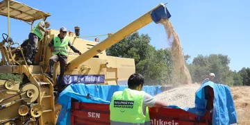 Bursa Büyükşehir, üreticiye nefes oluyor