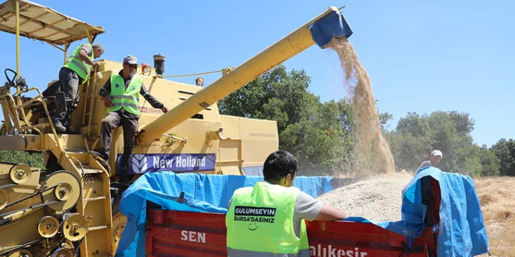 Bursa Büyükşehir, üreticiye nefes oluyor
