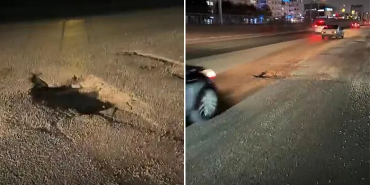İnegöl’de kaçak göçmenler yakalandı