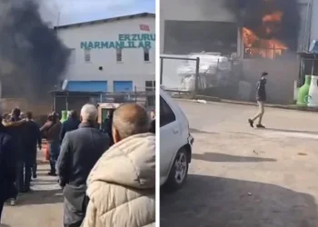Bursa’da yangını vatandaşlar film izler gibi izledi