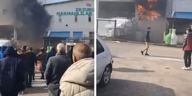 Bursa’da yangını vatandaşlar film izler gibi izledi