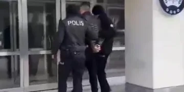 Ağrı’da başıboş sokak köpekleri tehlike saçıyor