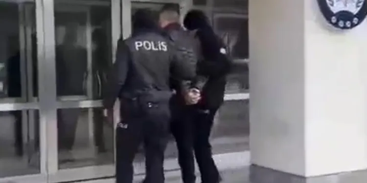 Ağrı’da başıboş sokak köpekleri tehlike saçıyor