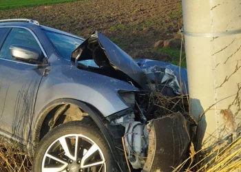 Direğe çarpan otomobil sürücüsü yaralandı