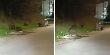 Çocukların üzerine araç sürdü, hiçbir şey olmamış gibi devam etti..