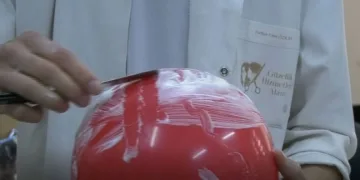 Ekşi mayanın sırrı paylaşıldı