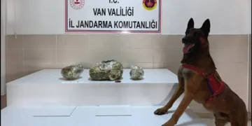 Didim’de 33 yıl hapis cezası ile aranan hükümlü yakalandı