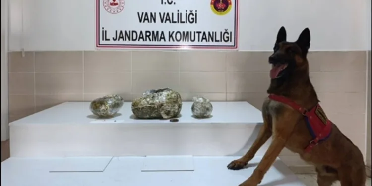 Didim’de 33 yıl hapis cezası ile aranan hükümlü yakalandı