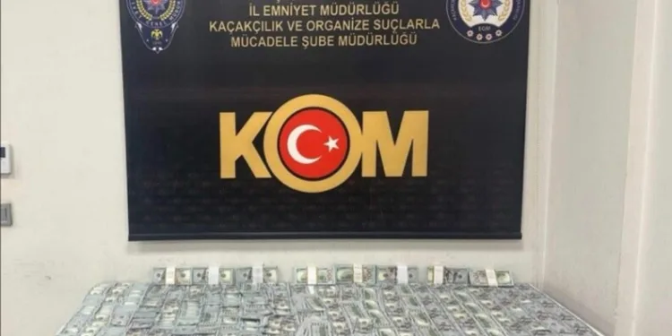 Ermenek’te seyir halindeki otomobil alev alarak yandı