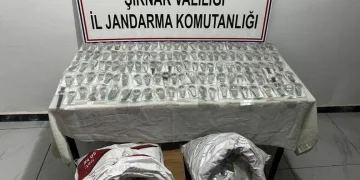 Ermenek’te seyir halindeki otomobil alev alarak yandı
