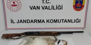 Jandarmanın iz takip köpeği “Salkım” kayıp şahıs için sahada