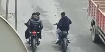 Jandarmanın iz takip köpeği “Salkım” kayıp şahıs için sahada