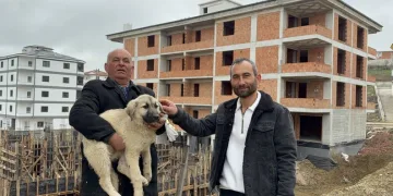 Jandarmanın iz takip köpeği “Salkım” kayıp şahıs için sahada