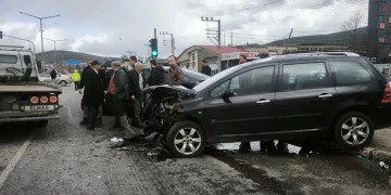 Jandarmanın iz takip köpeği “Salkım” kayıp şahıs için sahada