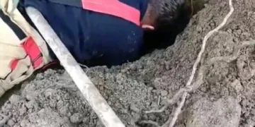 Hatay’da havalandırma boşluğuna düşen köpek kurtarıldı
