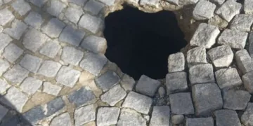 Hatay’da havalandırma boşluğuna düşen köpek kurtarıldı