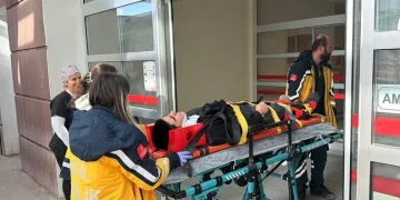 Hatay’da havalandırma boşluğuna düşen köpek kurtarıldı