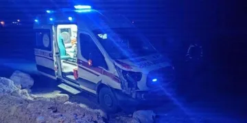 Hatay’da havalandırma boşluğuna düşen köpek kurtarıldı
