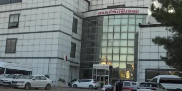 Hatay’da havalandırma boşluğuna düşen köpek kurtarıldı