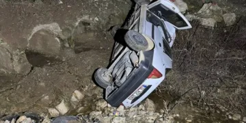 Hatay’da havalandırma boşluğuna düşen köpek kurtarıldı