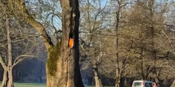 Çanakkale’de yanan araç bomba gibi patladı