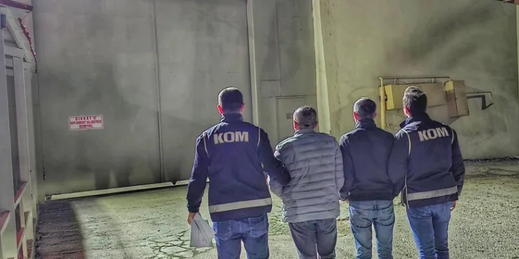İstanbul Havalimanı’nda 20 adet Afrika gri papağanı ele geçirildi