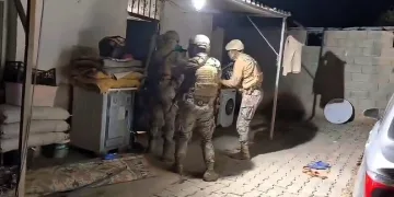 İstanbul Havalimanı’nda 20 adet Afrika gri papağanı ele geçirildi