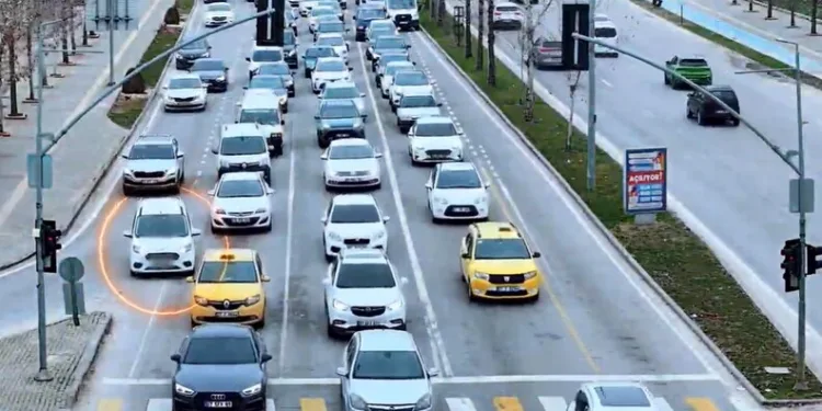 Siirt’te kayalıklarda 4 gündür mahsur kalan 2 keçi kurtarıldı