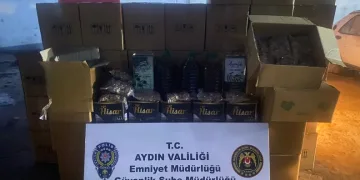 Siirt’te kayalıklarda 4 gündür mahsur kalan 2 keçi kurtarıldı
