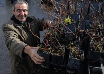Bursa Büyükşehir’le kırsal büyüyor