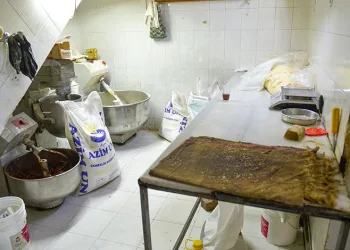 Adana’da mide bulandıran görüntü